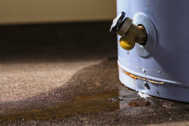 Best Commercial water damage restoration  in Vauxhall, NJ
