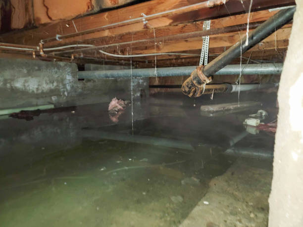 Best 24-hour water damage restoration  in Vauxhall, NJ
