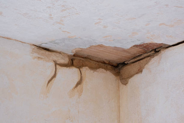 Best Basement water damage restoration  in Vauxhall, NJ