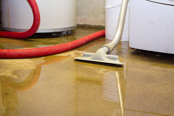 Best Fire Damage Restoration  in Vauxhall, NJ